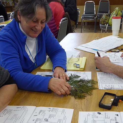 identifying plants