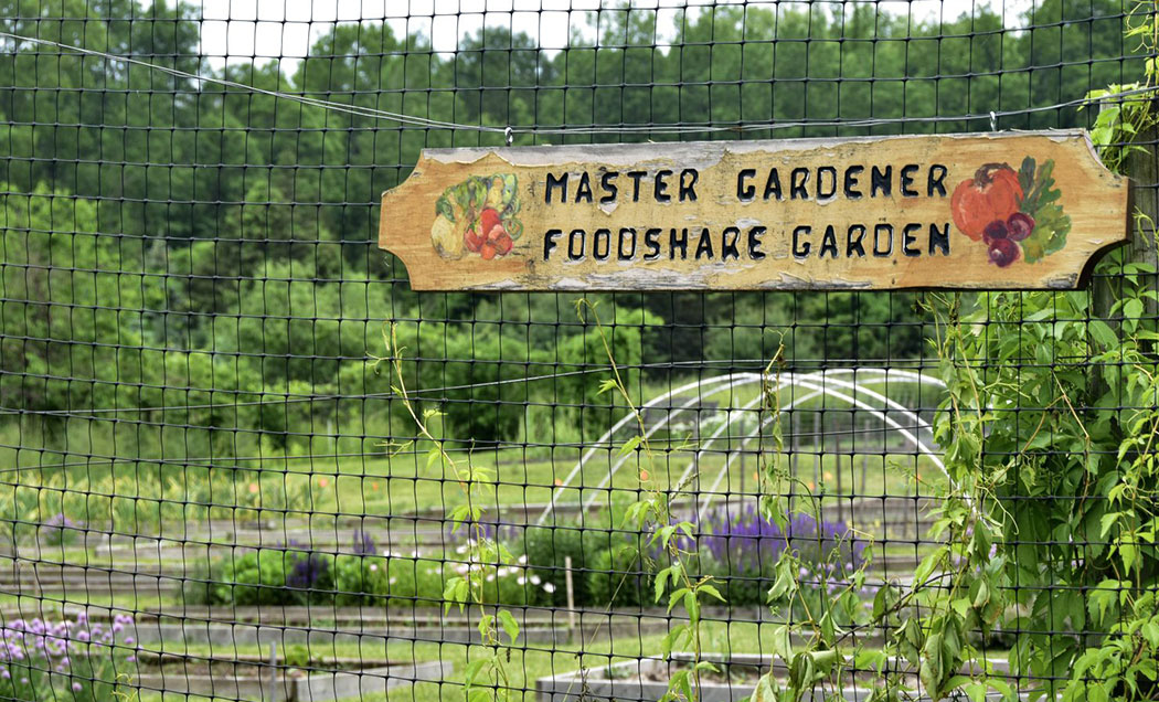 Foodshare Garden