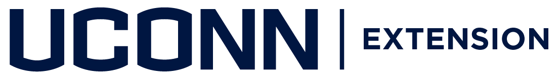 UConn Logo